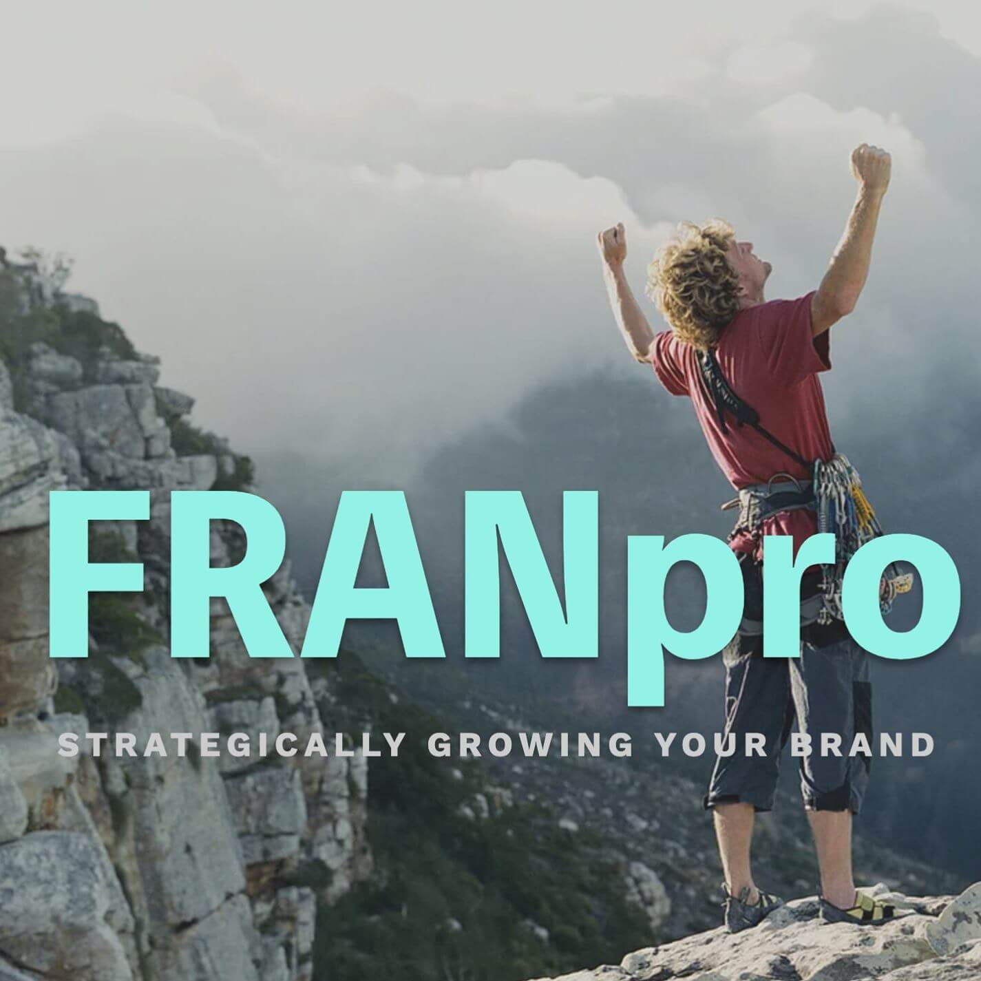 Winner small image - FRANpro Consulting Ltd
